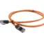 پچ کورد 50 سانتی cat6 sftp نگزنس