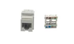 کیستون CAT6 UTP نگزنس